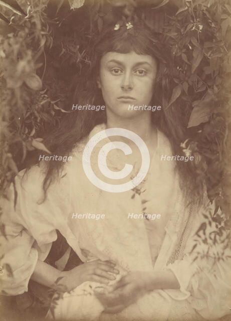 Pomona, 1872. Creator: Julia Margaret Cameron.