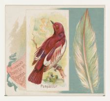 Pompadour, from the Song Birds of the World series (N42) for Allen & Ginter Cigarettes, 1890. Creator: Allen & Ginter