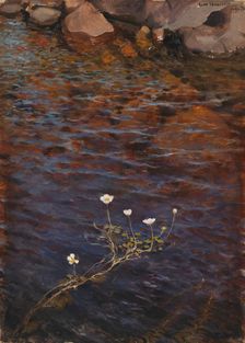 Pond Water Crowfoot, 1895. Creator: Eero Jarnefelt