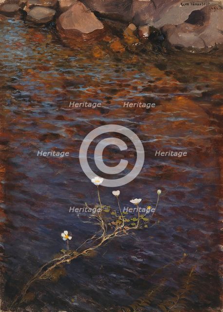 Pond Water Crowfoot, 1895. Creator: Eero Jarnefelt.