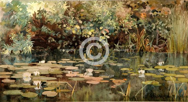 Pond with Water Lilies, Early 1890s. Artist: Polenova, Elena Dmitryevna (1850-1898)
