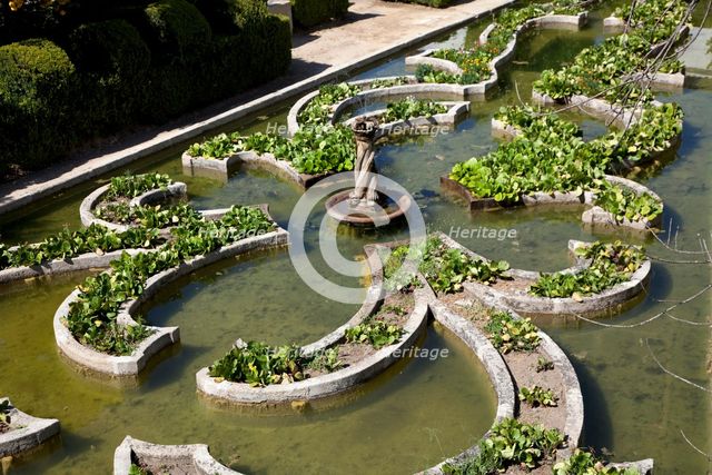 Pond garden, Garden of the Episcopal Palace, Castelo Branco, Portugal, 2009.  Creator: Samuel Magal.