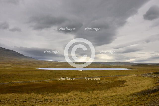Pond, Iceland. Creator: Tom Artin.