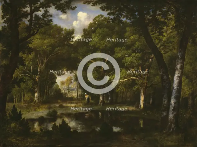 Pond in the Woods, 1862. Creator: Narcisse Virgile Diaz de la Pena.