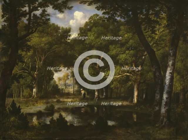 Pond in the Woods, 1862. Creator: Narcisse Virgile Diaz de la Pena.