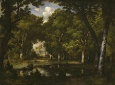 Pond in the Woods, 1862. Creator: Narcisse Virgile Diaz de la Pena