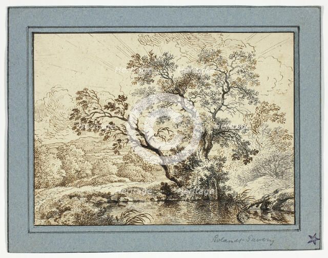 Pond in a Wooded Landscape, n.d. Creator: Unknown.