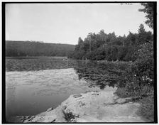 Pond lillies i.e. lilies in South Lake, Catskill Mountains, N.Y., c1902. Creator: Unknown