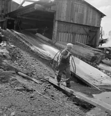 Pond monkey carrying cable from mill shed to pond, Keno, Klamath County, Oregon, 1939. Creator: Dorothea Lange