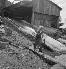 Pond monkey carrying cable from mill shed to pond, Keno, Klamath County, Oregon, 1939. Creator: Dorothea Lange