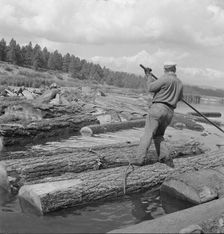 Pond monkey channels log raft, Keno, Klamath County, Oregon, 1939. Creator: Dorothea Lange