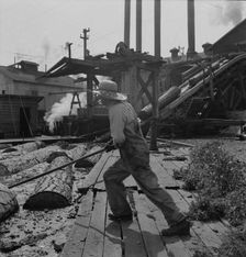 Pond monkey guides..., Pelican Bay Lumber Company mill, Klamath Falls, Oregon, 1939. Creator: Dorothea Lange