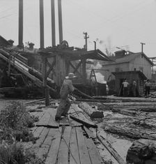 Pond monkey guides..., Pelican Bay Lumber Company mill, Klamath Falls, Oregon, 1939. Creator: Dorothea Lange