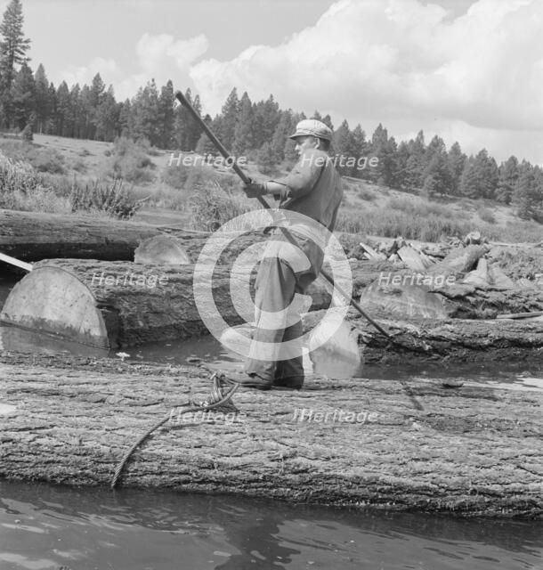 Pond monkey steers log raft in mill pond, Keno, Klamath County, Oregon, 1939. Creator: Dorothea Lange.