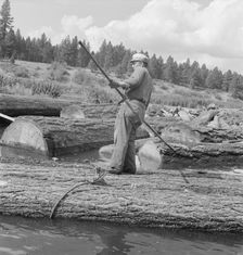 Pond monkey steers log raft in mill pond, Keno, Klamath County, Oregon, 1939. Creator: Dorothea Lange