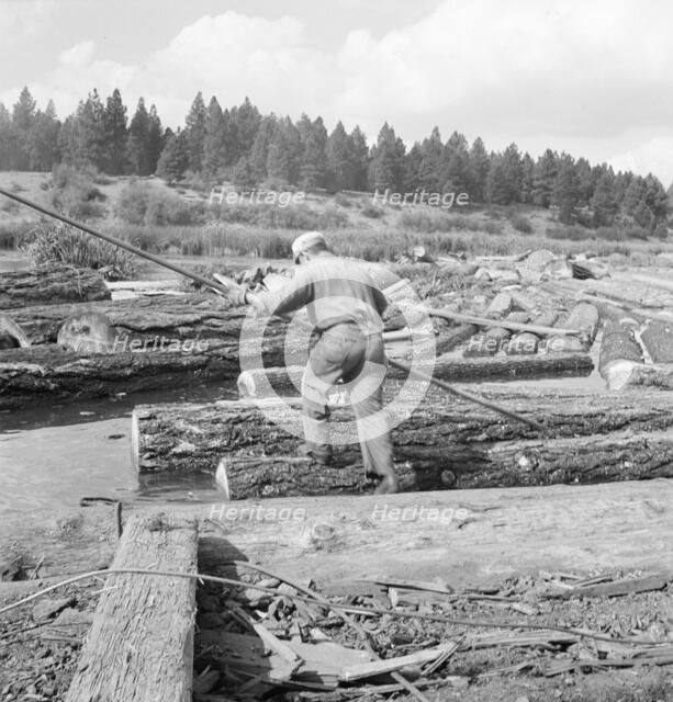 Pond monkey steers log raft in mill pond, Keno, Klamath County, Oregon, 1939. Creator: Dorothea Lange.