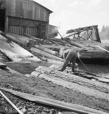 Pond monkey steers log raft in mill pond, Keno, Klamath County, Oregon, 1939. Creator: Dorothea Lange