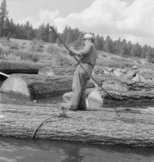 Pond monkey steers log raft in mill pond, Keno, Klamath County, Oregon, 1939. Creator: Dorothea Lange