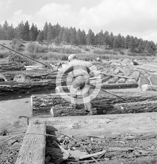 Pond monkey steers log raft in mill pond, Keno, Klamath County, Oregon, 1939. Creator: Dorothea Lange.
