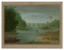 Pont de Palmiers and Tiger Shooting, 1854/1869. Creator: George Catlin