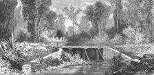 Pont des Francais, New Caledonia; Some Account of New Caledonia 1875. Creator: Unknown