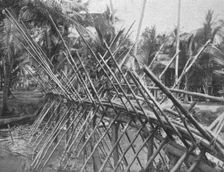 'Pont jete sur une riviere de la Nouvelle-Guinee britannioue; Les Terres Du Pacifique 1914. Creator: Unknown
