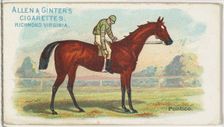 Pontico, from The World's Racers series (N32) for Allen & Ginter Cigarettes, 1888. Creator: Allen & Ginter