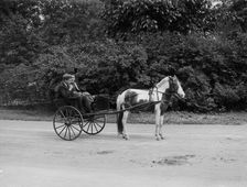Pony cart, Belle Isle Park, Detroit, Mich., between 1900 and 1908. Creator: Unknown