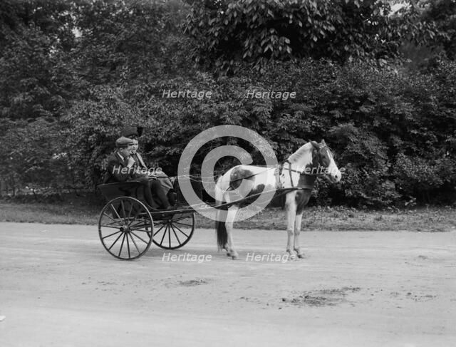 Pony cart, Belle Isle Park, Detroit, Mich., between 1900 and 1908. Creator: Unknown.
