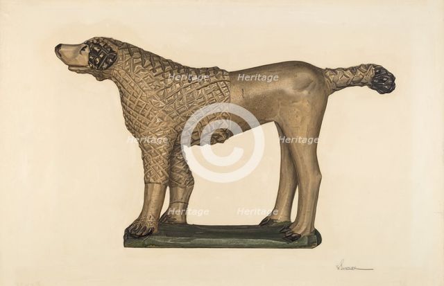 Poodle, c. 1940. Creator: Selma Sandler.
