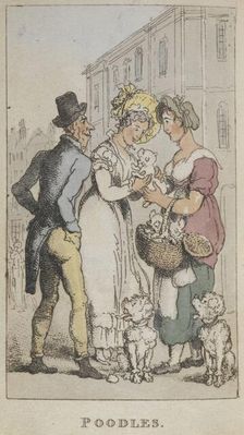 Poodles' 1820. Creator: Thomas Rowlandson