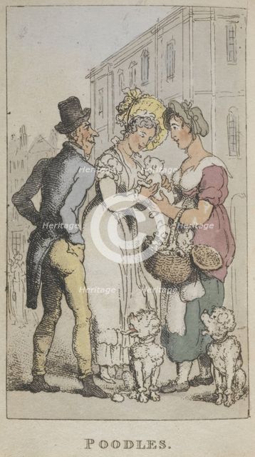 'Poodles'', 1820. Creator: Thomas Rowlandson.
