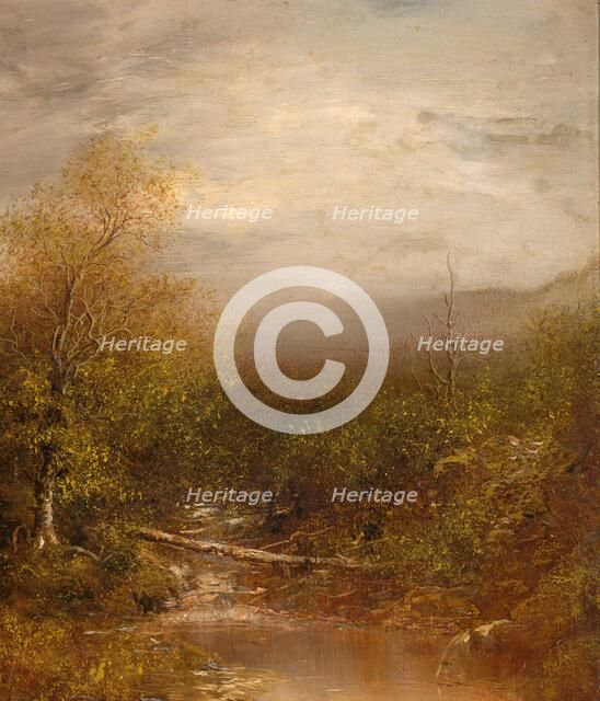 Pool in the Adirondacks, about 1875-1878. Creator: Ralph Blakelock.