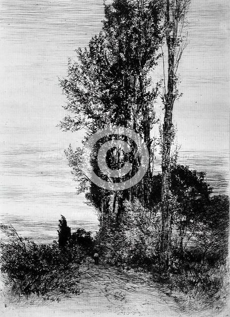 Poplars, c1898. Creator: Peter von Halm.
