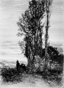 Poplars, c1898. Creator: Peter von Halm