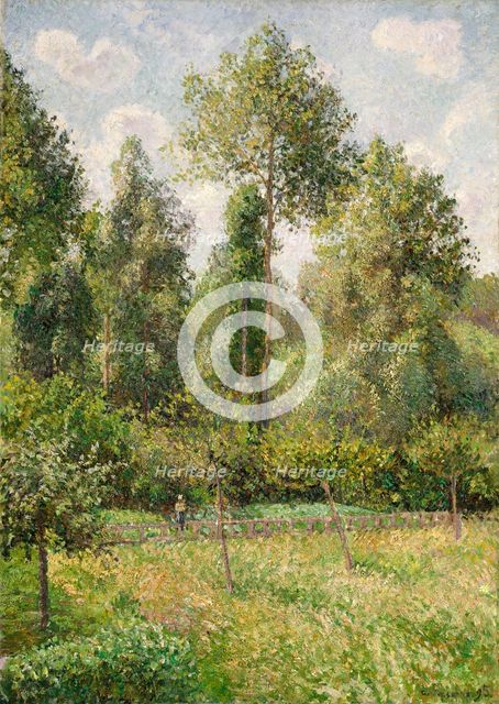 Poplars, Éragny, 1895. Creator: Camille Pissarro.