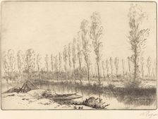 Poplars near Amiens (Pres d'Amiens, les tourbieres). Creator: Alphonse Legros