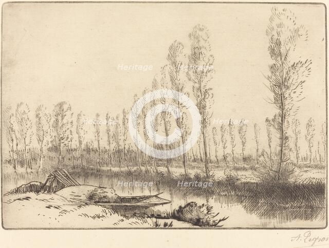 Poplars near Amiens (Pres d'Amiens, les tourbieres). Creator: Alphonse Legros.