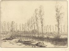 Poplars near Amiens (Pres d'Amiens, les tourbieres). Creator: Alphonse Legros