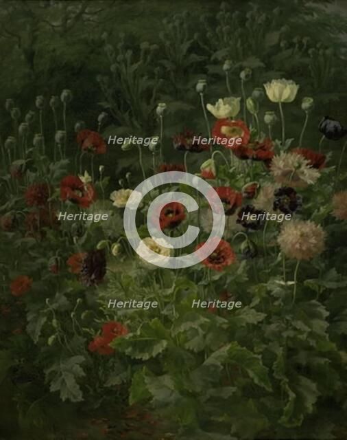 Poppies, 1892. Creator: Anthonie Leonore Christensen.