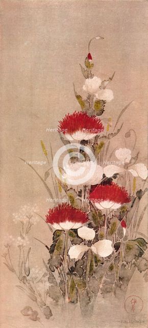 'Poppies, Wheat, and Natane Flowers', 17th century. Artist: Sôtatsu.