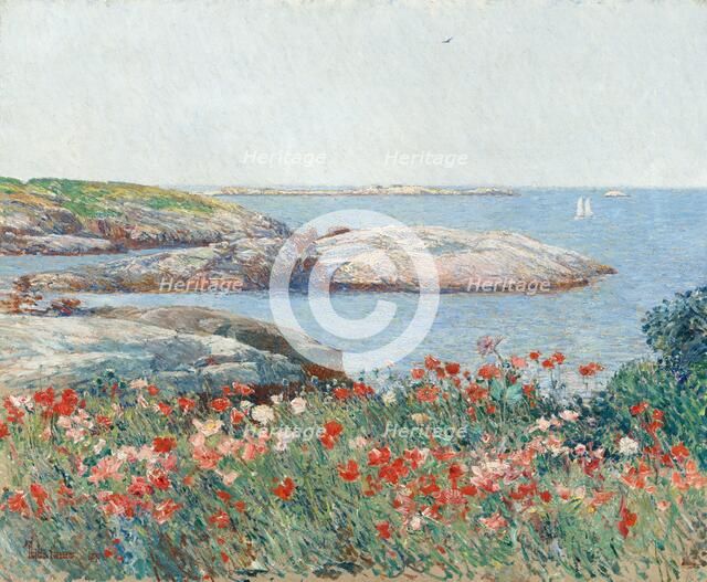 Poppies, Isles of Shoals, 1891. Creator: Frederick Childe Hassam.
