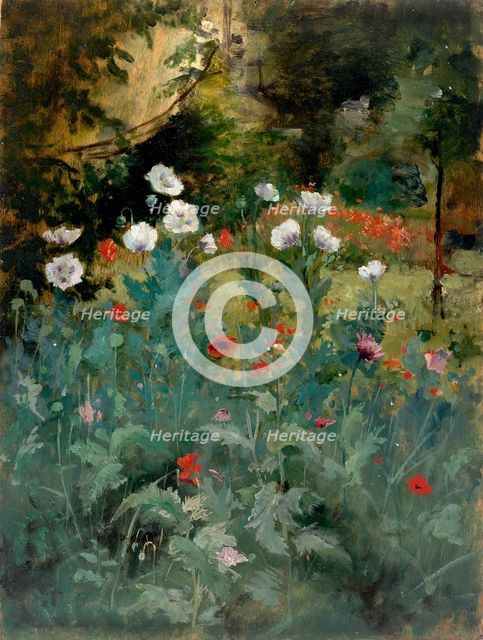 Poppies, late 19th-early 20th century. Creator: Eliphalet Frazer Andrews.