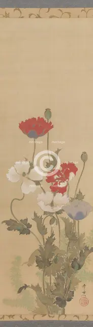 Poppies, mid-19th century. Creator: Suzuki Kiitsu.