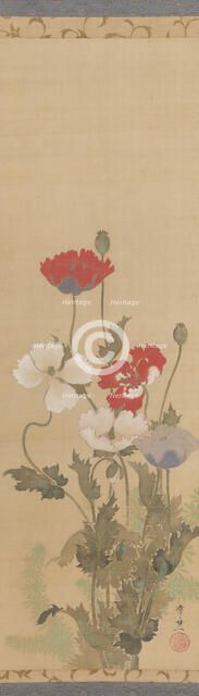 Poppies, mid-19th century. Creator: Suzuki Kiitsu.