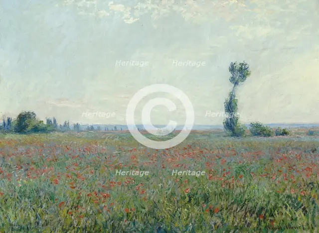 Poppy field, 1881. Artist: Monet, Claude (1840-1926)