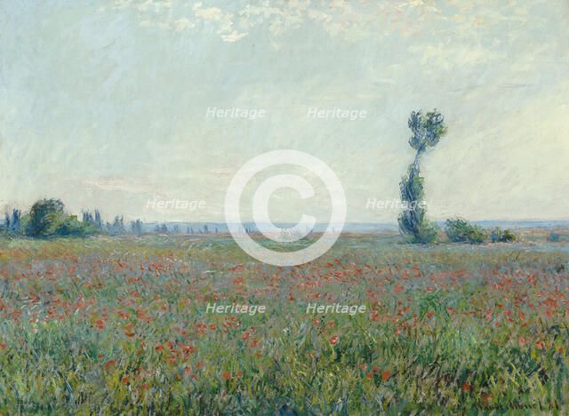 Poppy field, 1881. Artist: Monet, Claude (1840-1926)