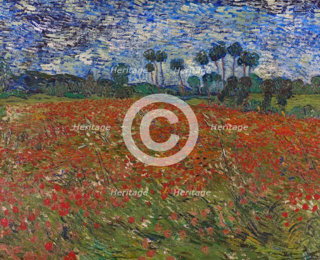 Poppy field, 1890. Artist: Gogh, Vincent, van (1853-1890)