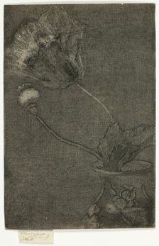 Poppy in a Vase, 1890-95. Creator: Theodore Roussel