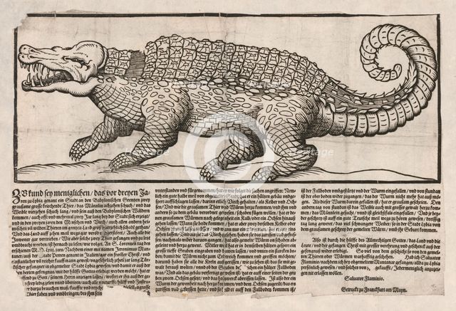 Popular print with representation of a Crocodile, 1563.